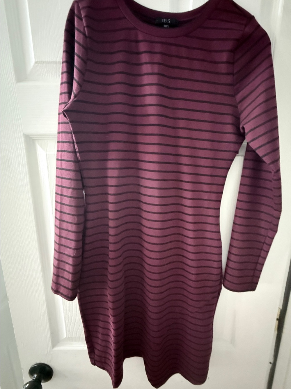 iris Plum and Black Striped Long-Sleeve Dress